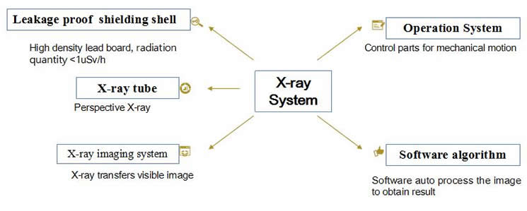 X-ray.jpg